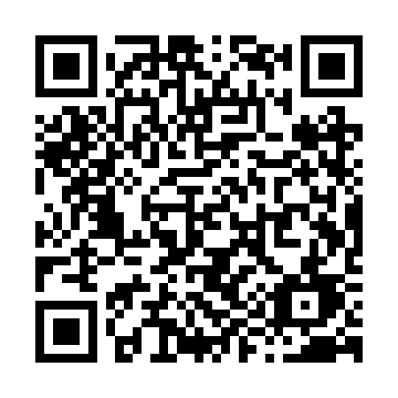 QR code for plate X91-RSD
