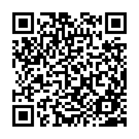 QR code for plate X91-ZPN