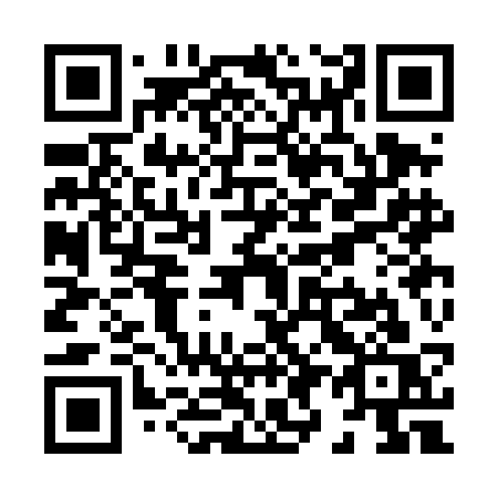 QR code for X93-DCS