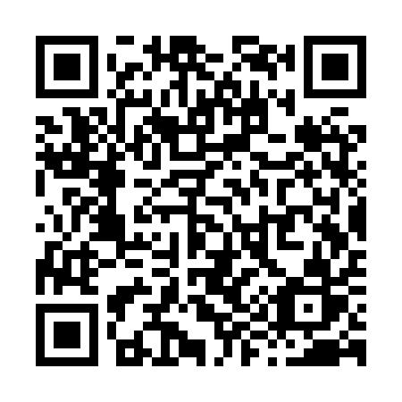 QR code for plate X93-XQR