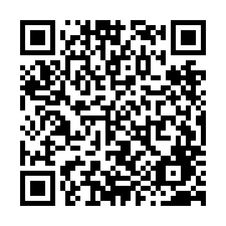 QR code for X95-NMF