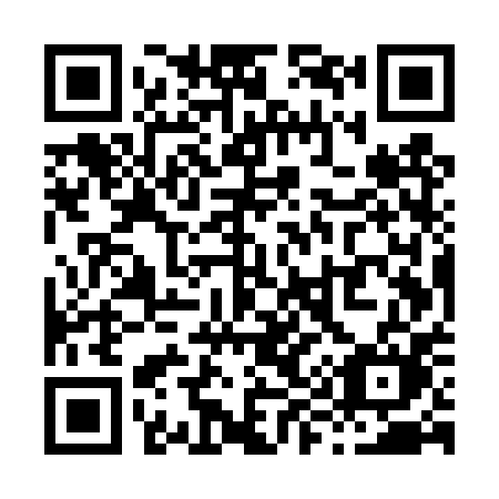 QR code for X95-TPM
