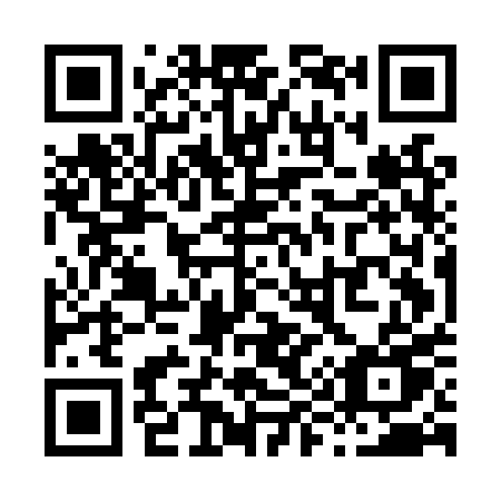 QR code for X95LPU