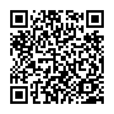 QR code for X95NEU