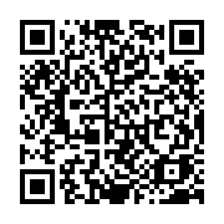 QR code for plate X95-XGA