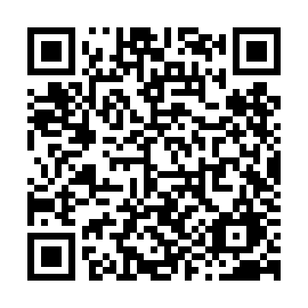 QR code for plate X96-TKG