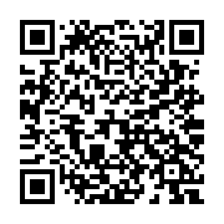 QR code for X96UDG