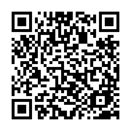 QR code for plate X98-NNE