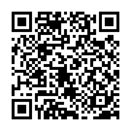 QR code for plate XA6-T307