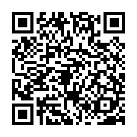 QR code for plate XB2-P493
