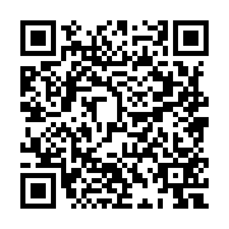 QR code for XDX-9533