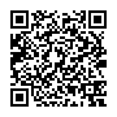QR code for plate XE9-Z382