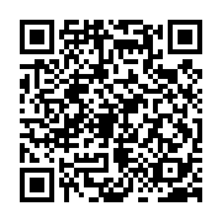 QR code for XF1-D387