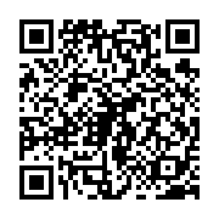 QR code for plate XF1-V190