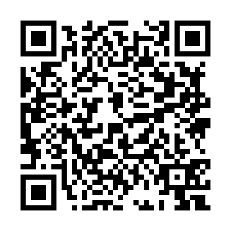 QR code for XFI8313