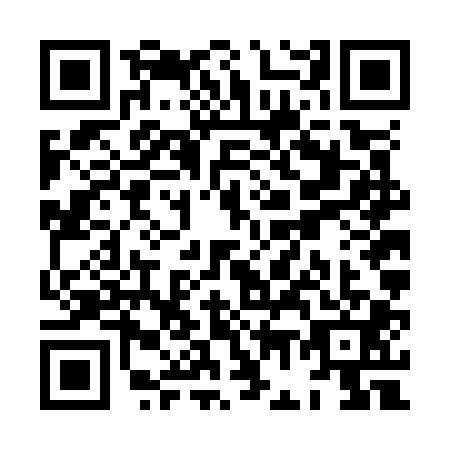 QR code for plate XG6-O013