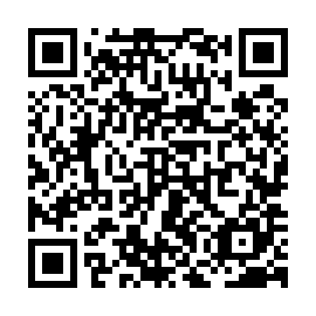 QR code for plate XGN-585