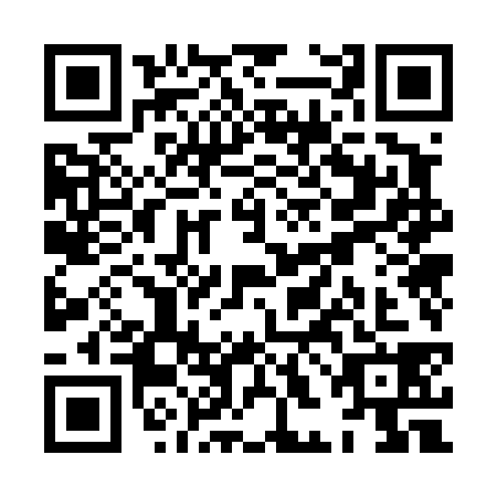 QR code for XHO4384