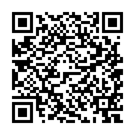 QR code for plate XIG-1913