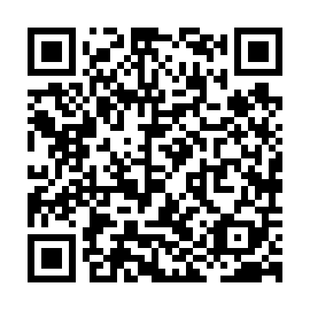 QR code for plate XIX-609