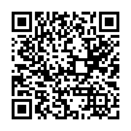 QR code for XLN-391