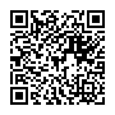 QR code for plate XN4-C125