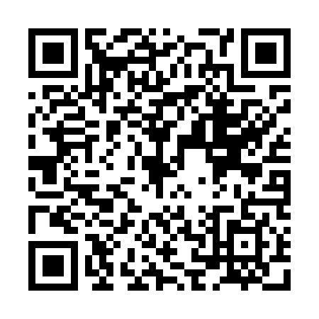 QR code for plate XN4-M493