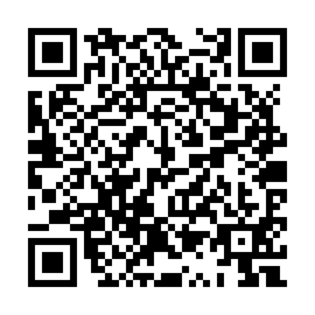 QR code for XQ2-Z919