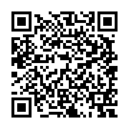 QR code for plate XSJ-4916