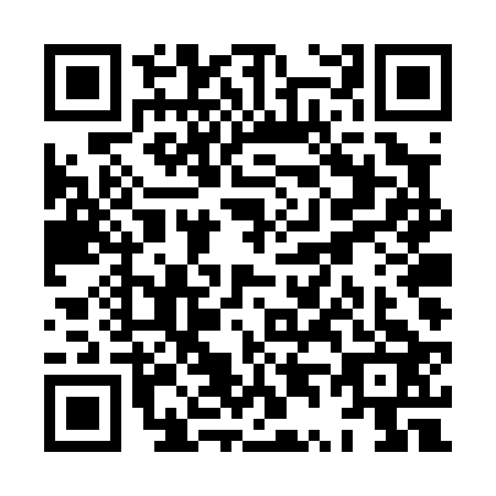 QR code for plate XT4-P233