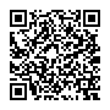 QR code for plate XV0-P609