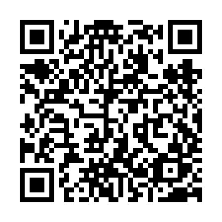 QR code for Y22-FIR