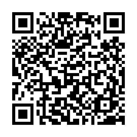 QR code for Y31-DVS