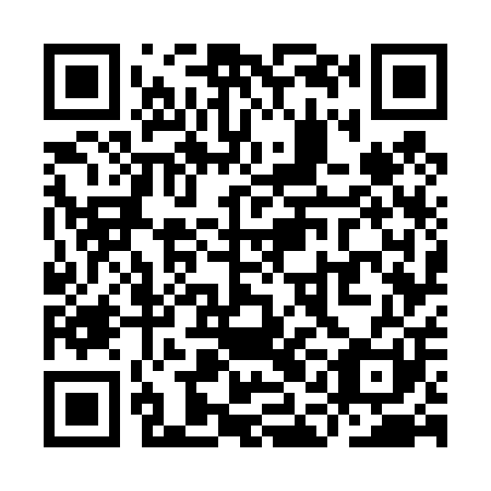 QR code for YAG-401