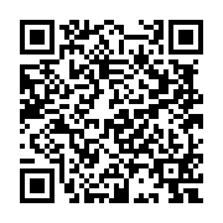 QR code for YB1-L919