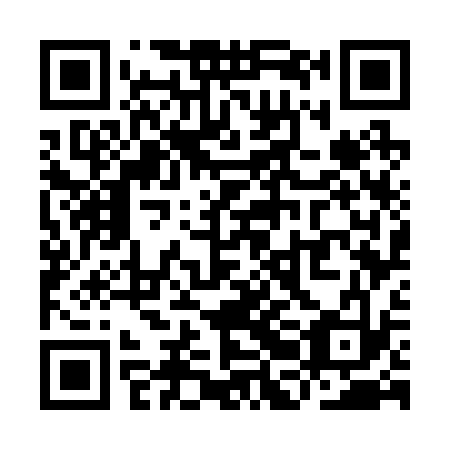 QR code for YBG233