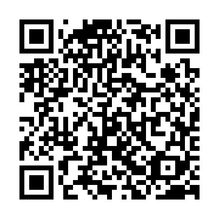 QR code for plate YBS-369