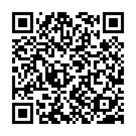 QR code for plate YFL-029