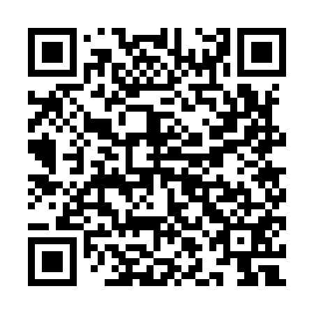 QR code for YLG951