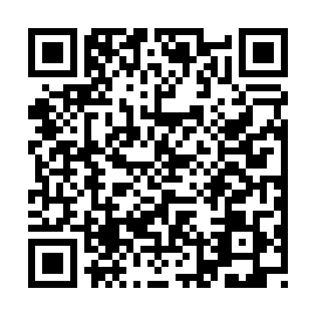 QR code for plate YLR-0095