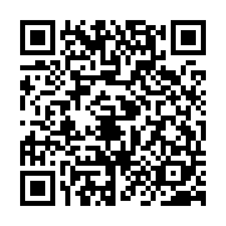 QR code for plate YN9-K484