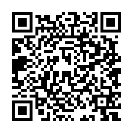 QR code for plate YNT-4601