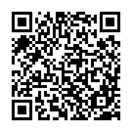 QR code for plate YNZ-786