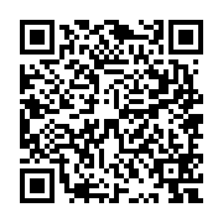 QR code for plate YPJ-6995