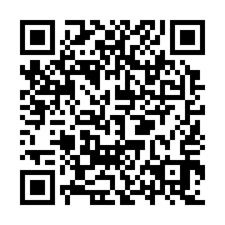 QR code for plate YPN-313
