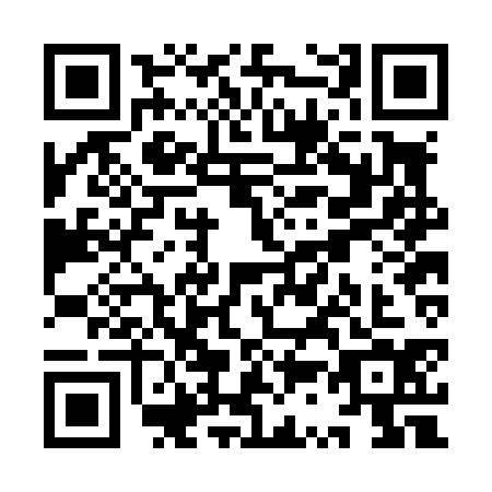 QR code for YS2-L347