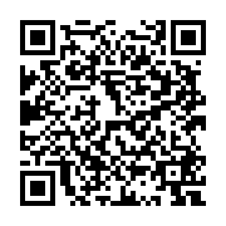 QR code for plate YS9-D489