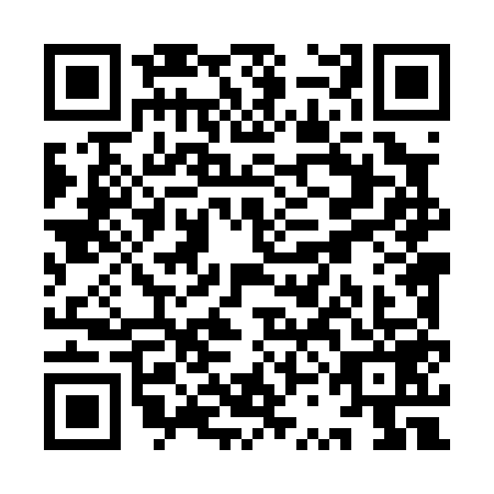 QR code for YSL0593