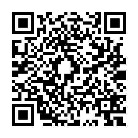 QR code for plate YV0-Q295