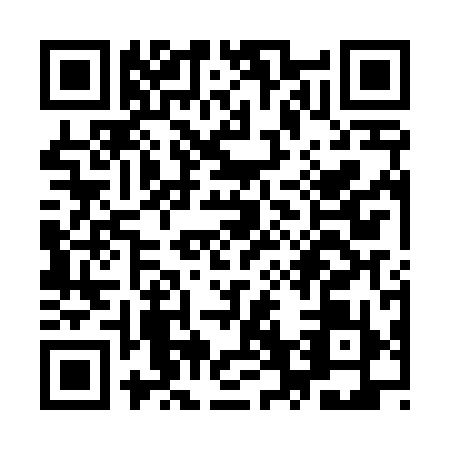 QR code for plate YV5-D991